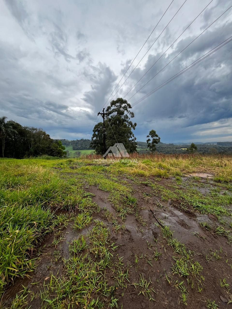 Chácara, 4 hectares - Foto 8