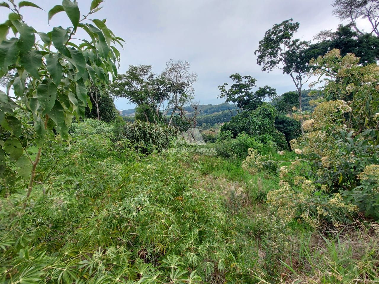 Lote/Terreno de 273m² no bairro Centro, em Cordilheira Alta | Eu Corretor