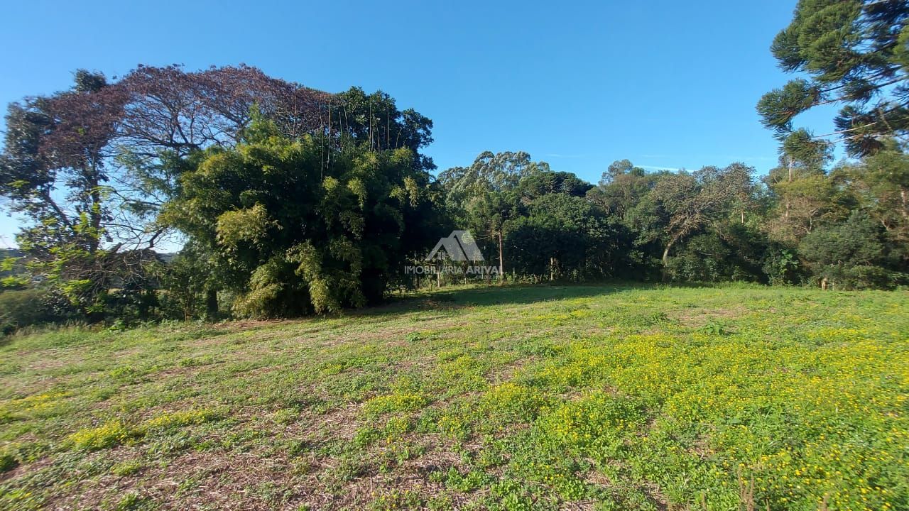 Lote/Terreno Comercial de 42800m² no bairro Centro,(Marechal Bormann), em Chapecó | Eu Corretor