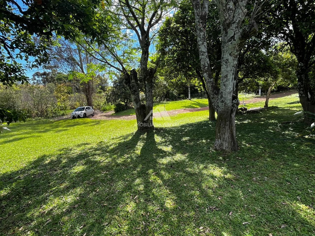 Chácara, 2 hectares - Foto 14