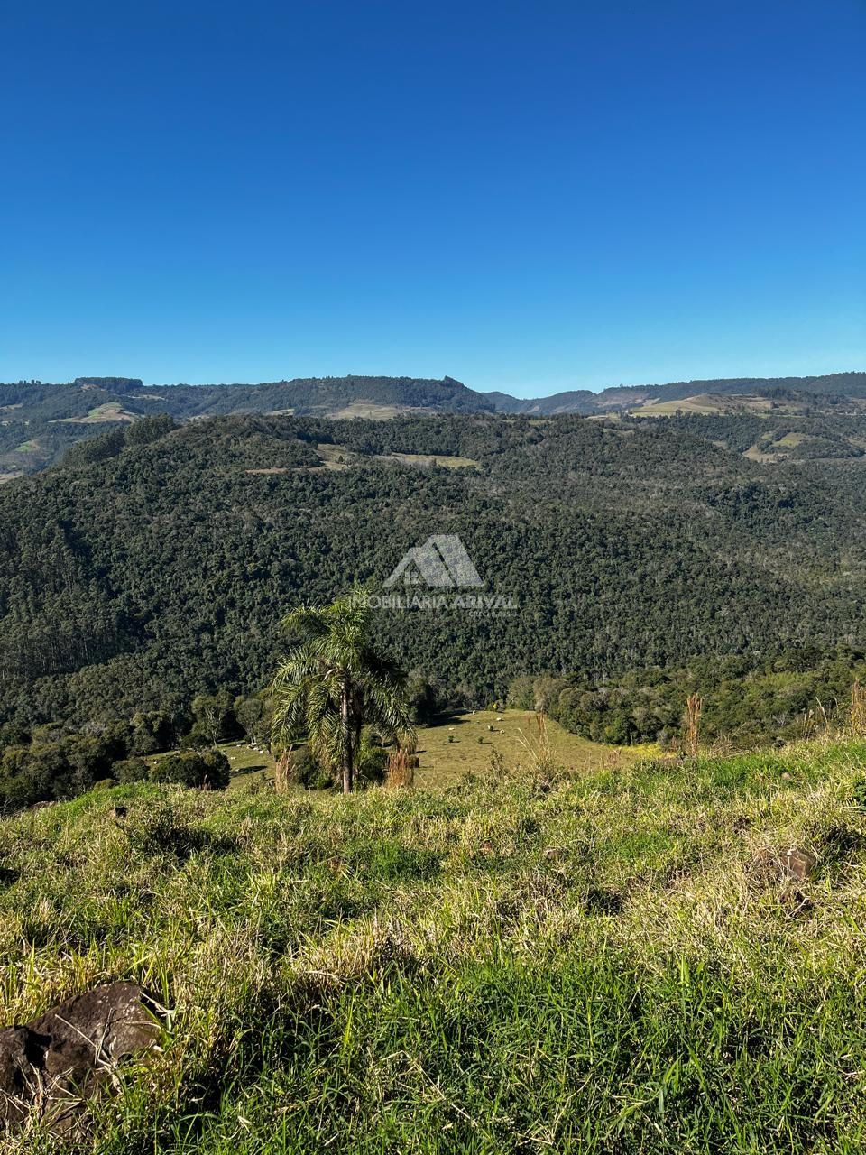 Fazenda, 2 m² - Foto 4