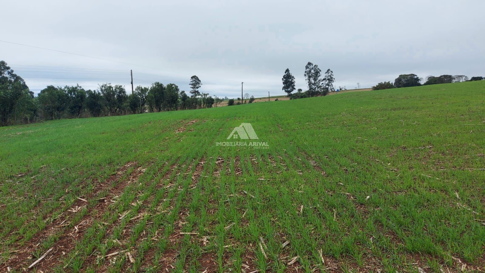 Lote/Terreno Comercial de 338000m² no bairro Centro (Marechal Bormann), em Chapecó | Eu Corretor
