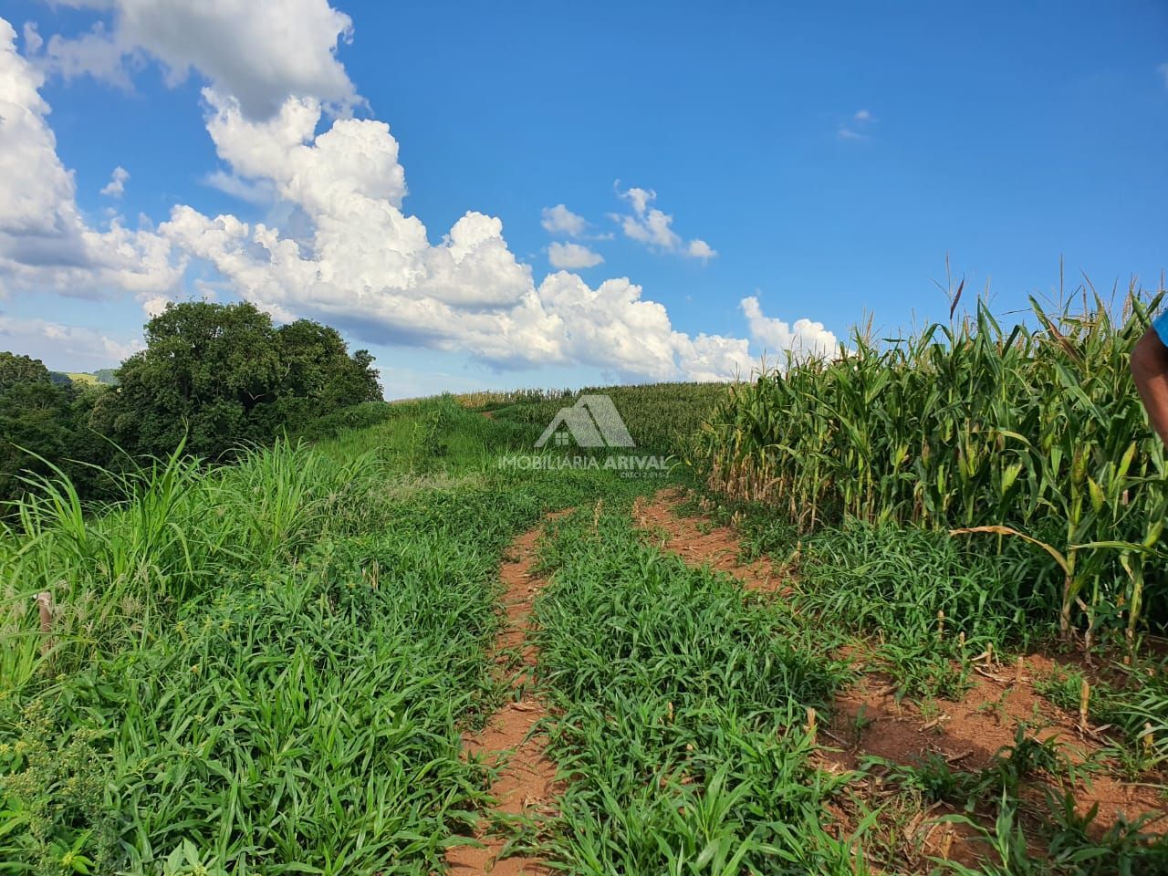 Lote/Terreno Comercial de 142400m² no bairro Área Rural de Chapecó, em Chapecó | Eu Corretor