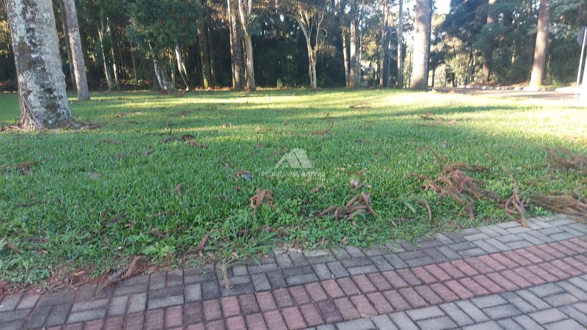 Lote/Terreno de 1000m² no bairro Centro, em Guatambú | Eu Corretor