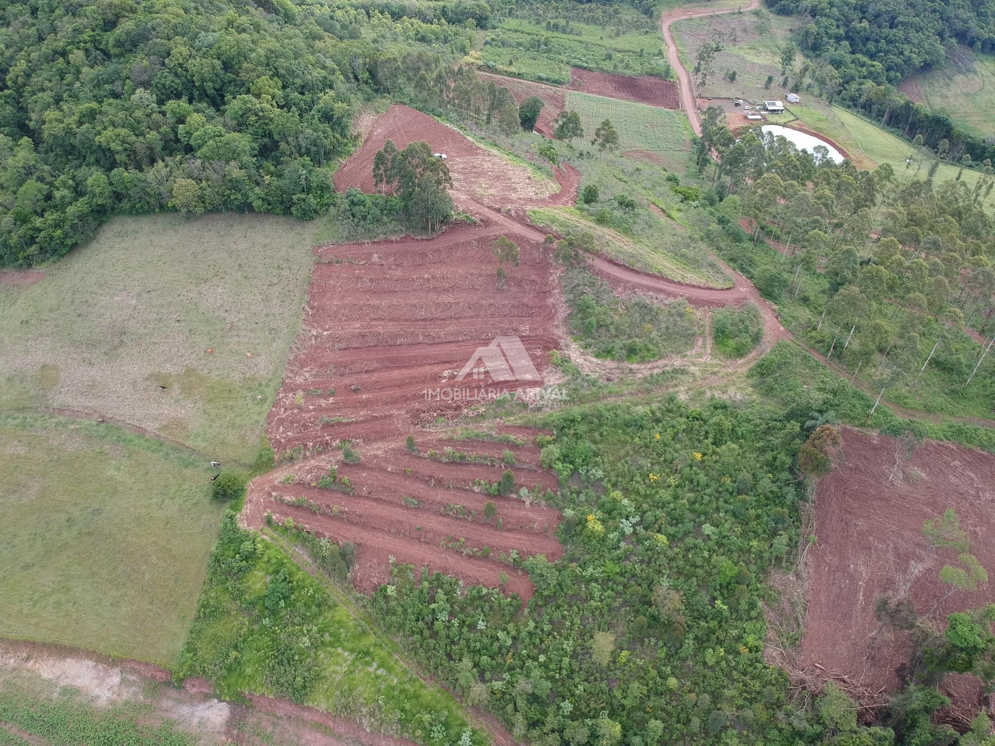 Lote/Terreno Comercial de 20000m² no bairro Zona Rural, em Cordilheira Alta | Eu Corretor