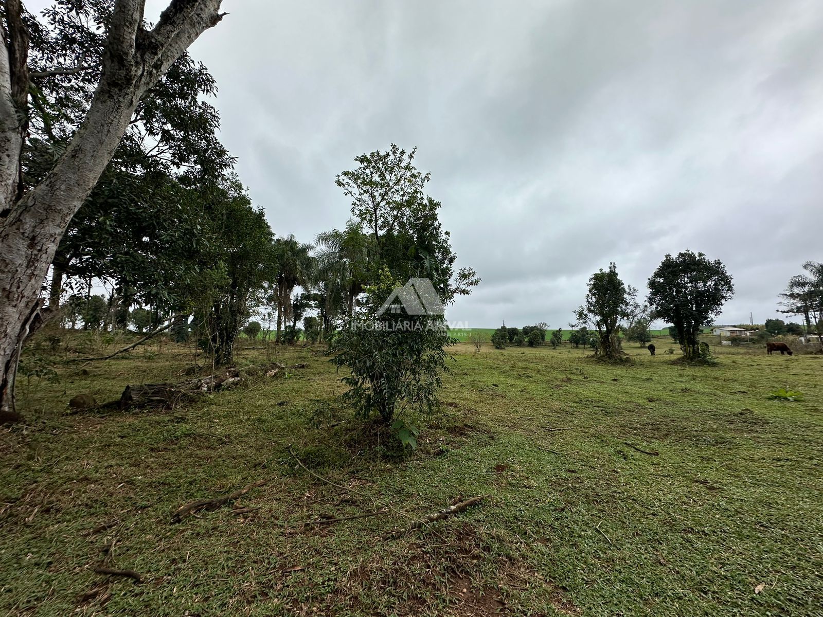 Lote/Terreno Comercial de 20m² no bairro Zona Rural, em Guatambú | Eu Corretor