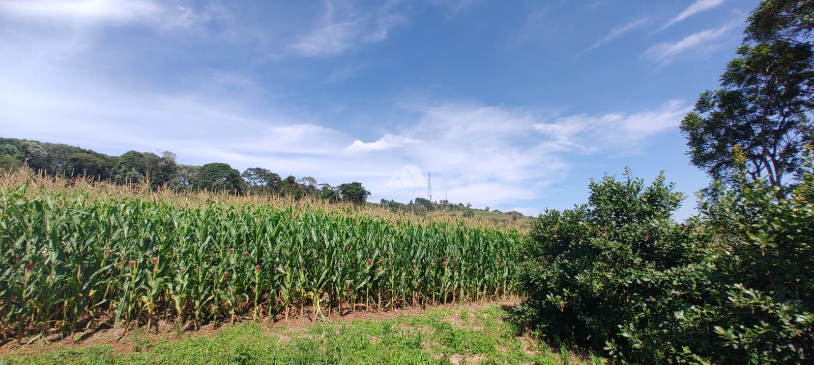 Lote/Terreno Comercial de 90000m² no bairro Zona Rural, em Xanxerê | Eu Corretor