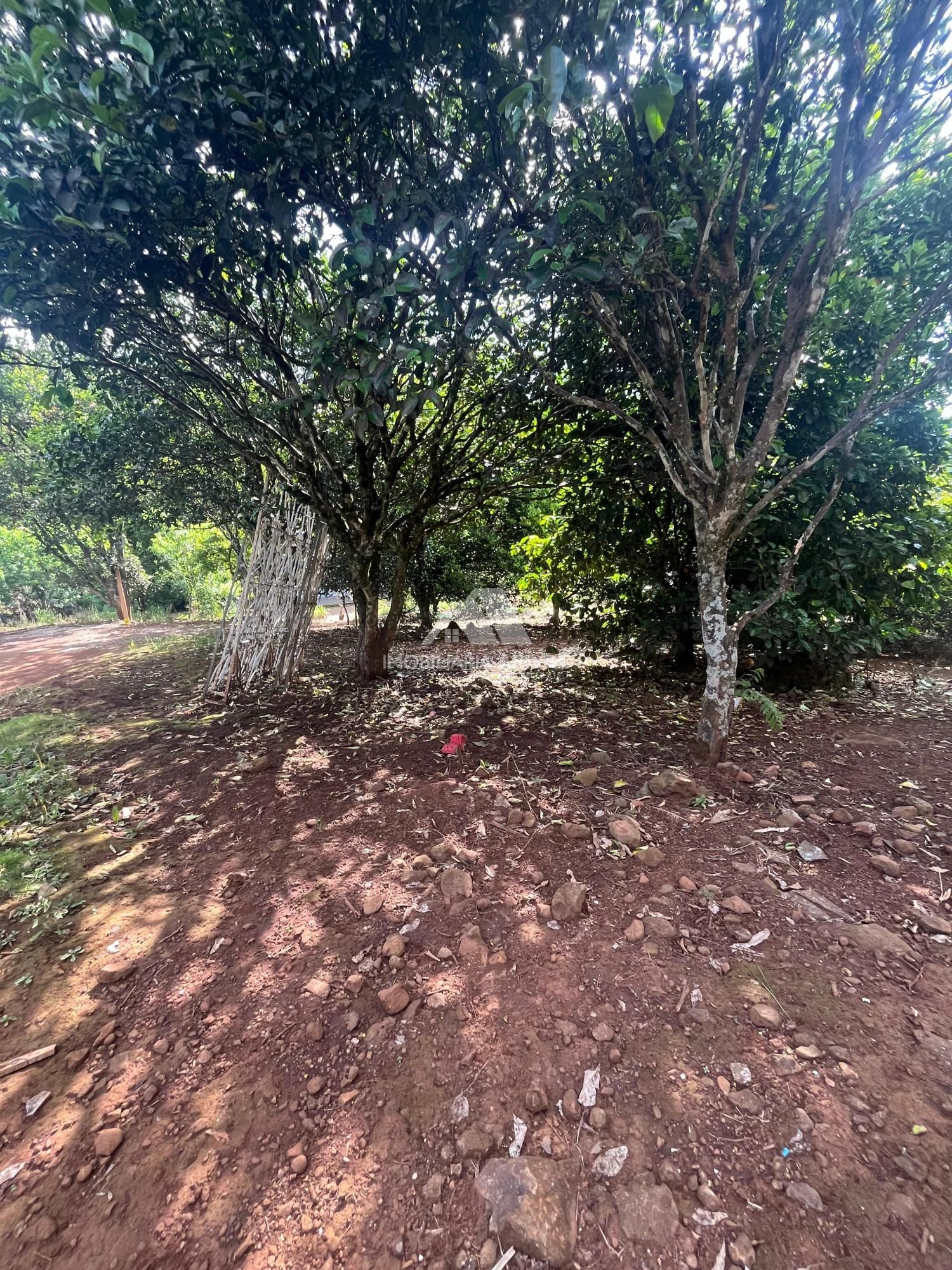 Casa de 60m² no bairro Zona Rural, em Cordilheira Alta | Eu Corretor