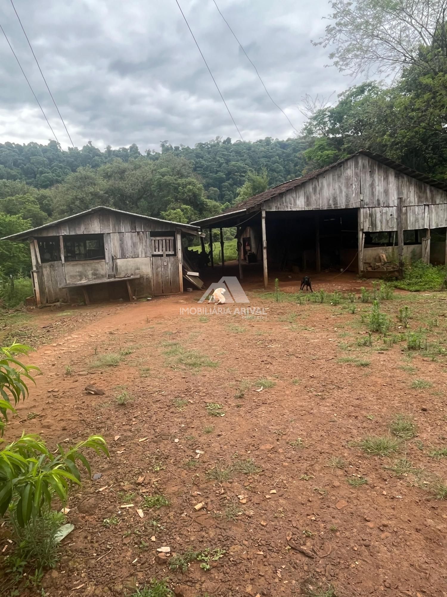 Chácara, 54 m² - Foto 9