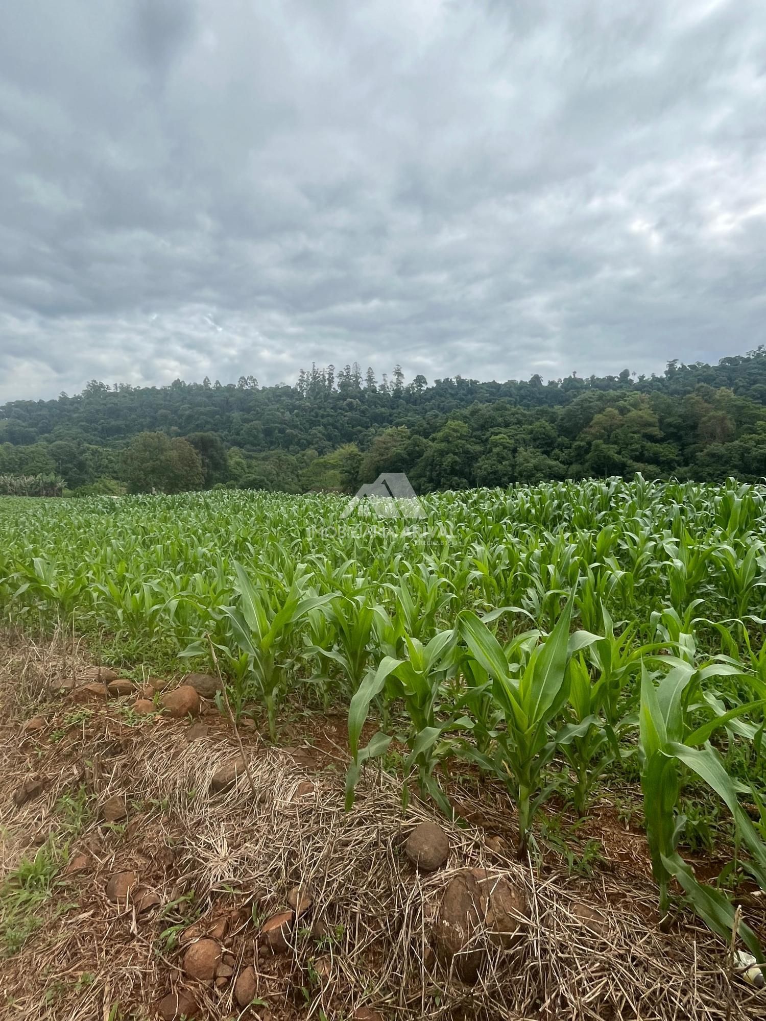 Chácara, 54 m² - Foto 12