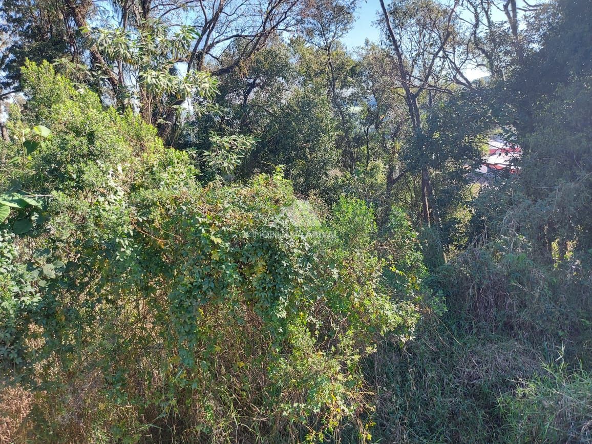 Lote/Terreno de 273m² no bairro Centro, em Cordilheira Alta | Eu Corretor