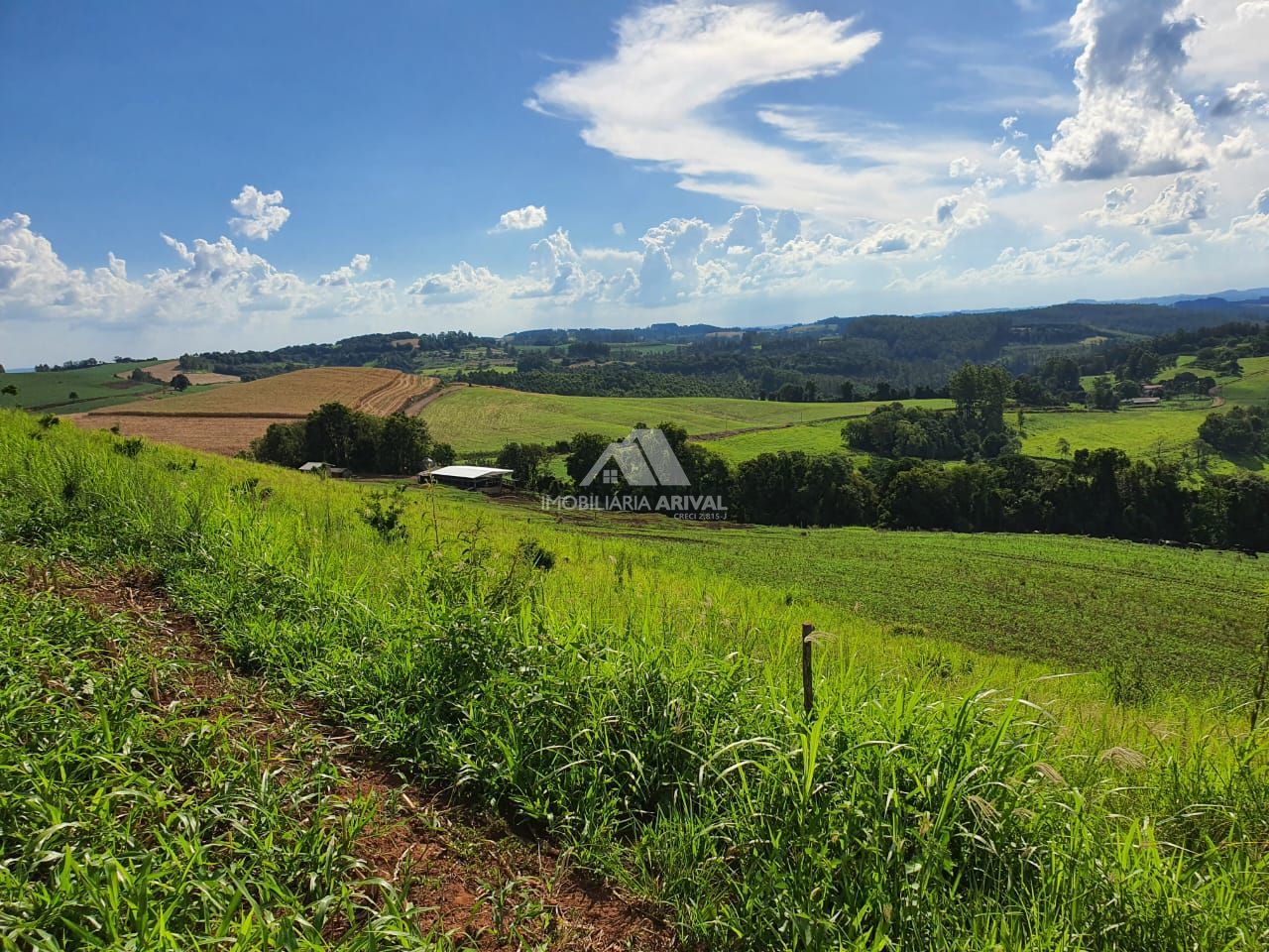 Lote/Terreno Comercial de 142400m² no bairro Área Rural de Chapecó, em Chapecó | Eu Corretor