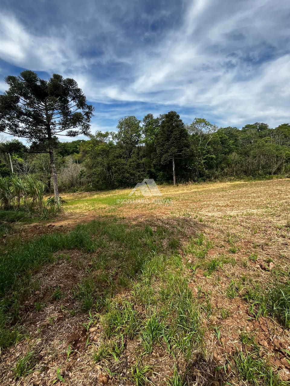 Chácara, 2 hectares - Foto 11