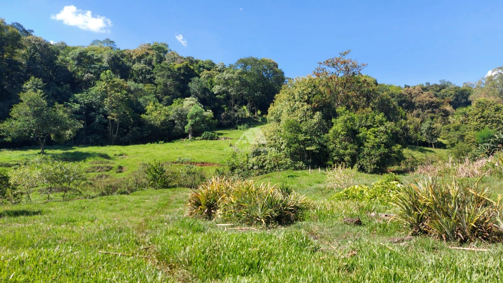Lote/Terreno Comercial de 51m² no bairro Centro, em Águas de Chapecó | Eu Corretor