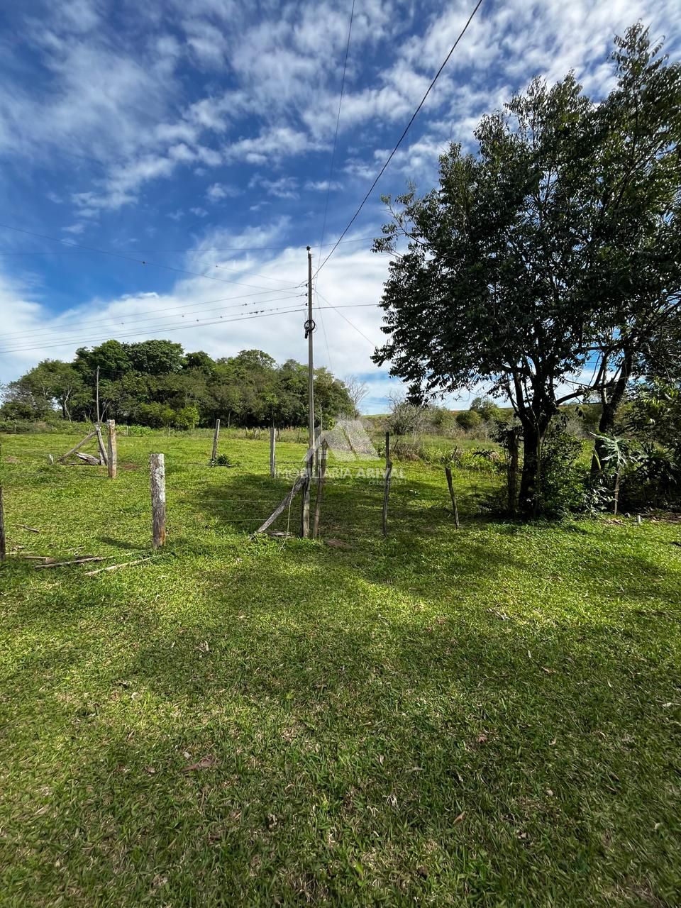 Chácara, 2 hectares - Foto 12