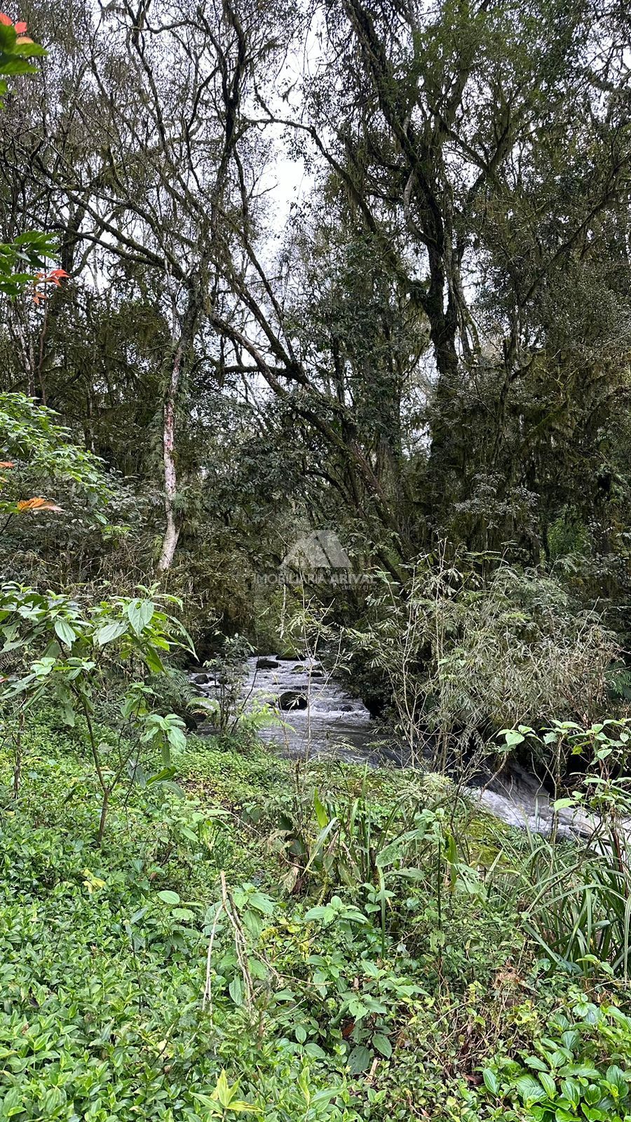 Lote/Terreno Comercial de 20m² no bairro Zona Rural, em Guatambú | Eu Corretor