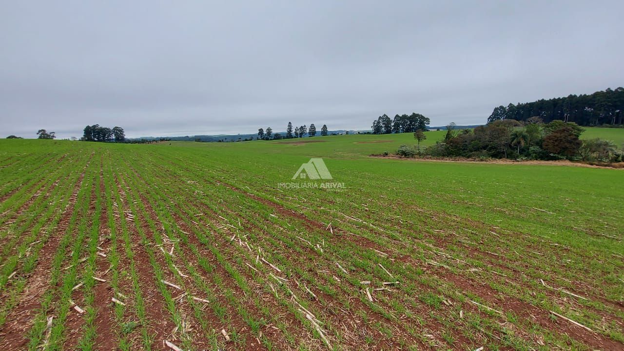 Lote/Terreno Comercial de 338000m² no bairro Centro (Marechal Bormann), em Chapecó | Eu Corretor