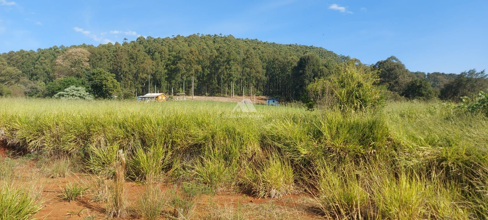 Lote/Terreno Comercial de 20000m² no bairro Área Rural de Chapecó, em Chapecó | Eu Corretor