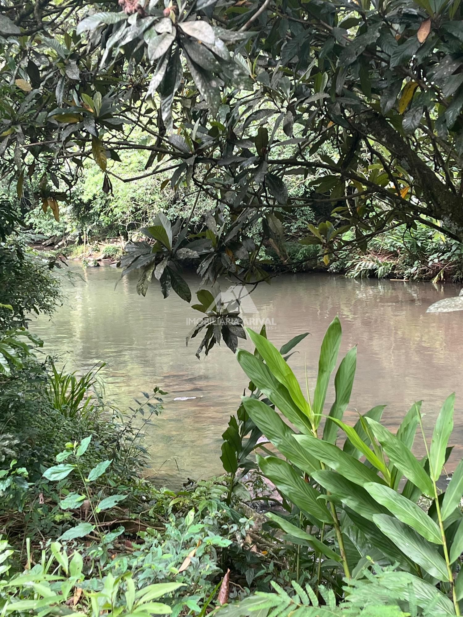 Chácara, 54 m² - Foto 3