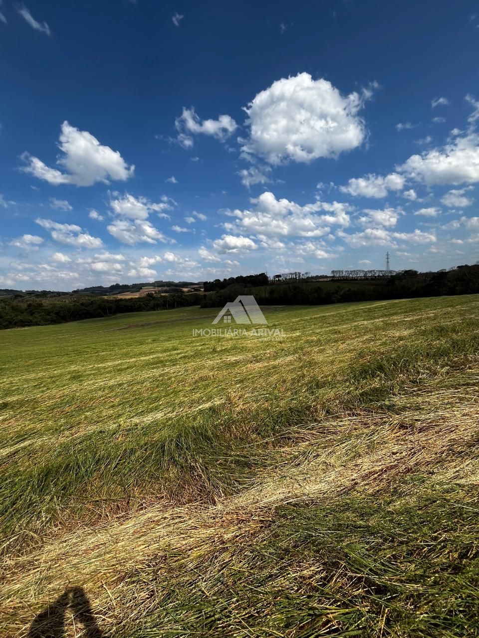 Chácara, 8 hectares - Foto 1