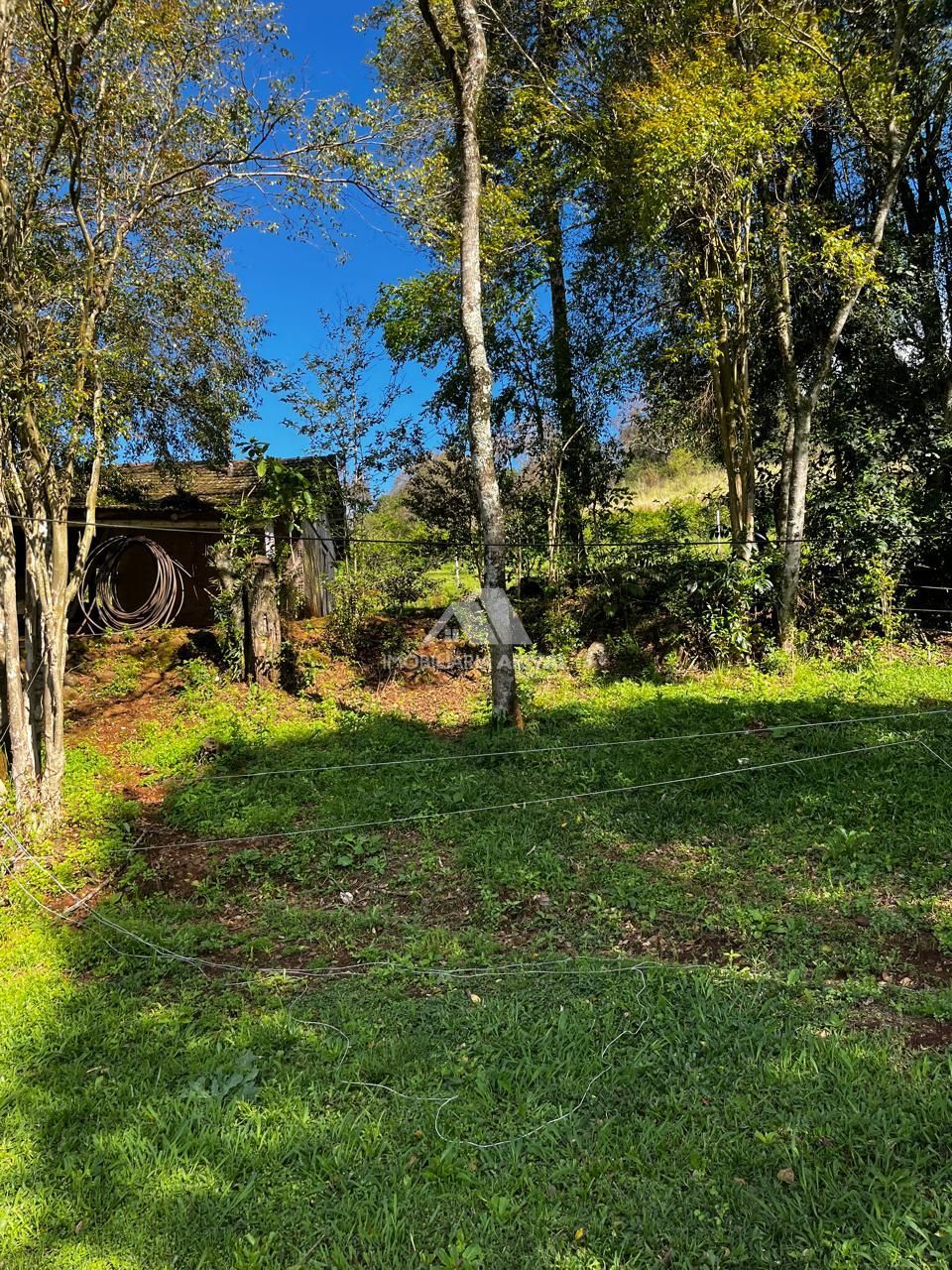 Chácara, 7 hectares - Foto 15