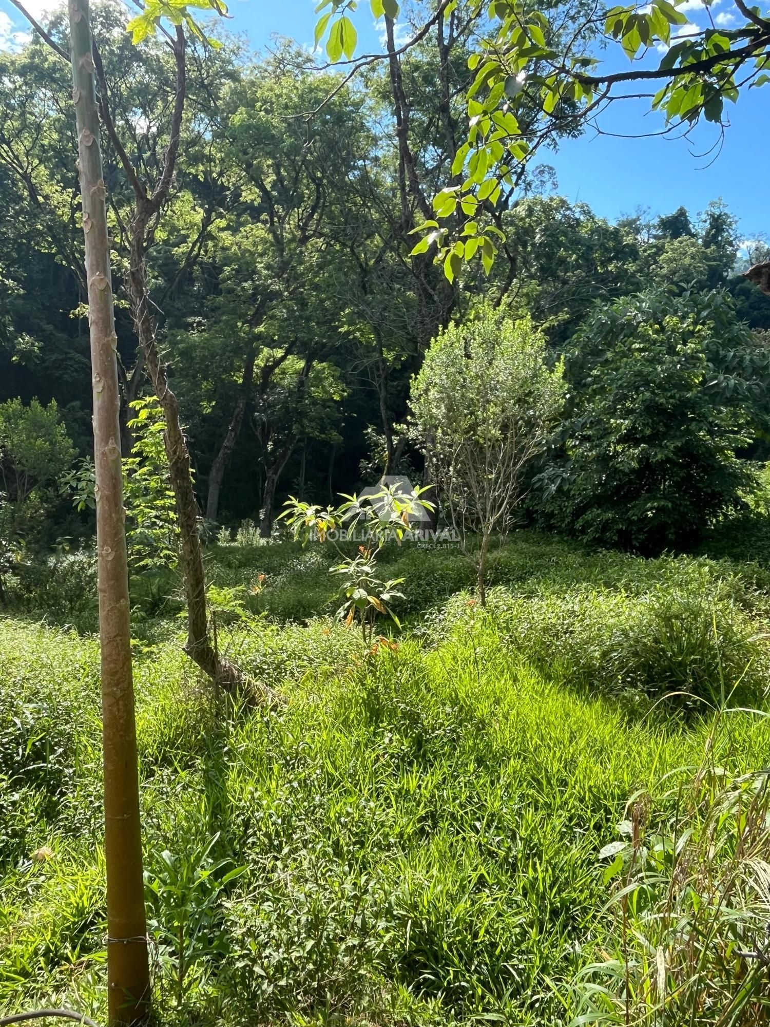 Sítio, 535 m² - Foto 7