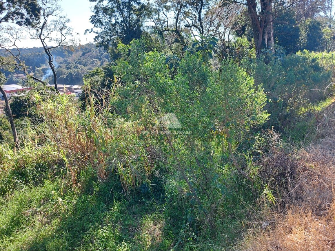 img120597455