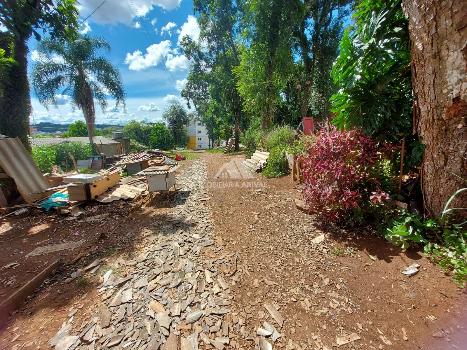 Terreno, 3276 m² - Foto 2