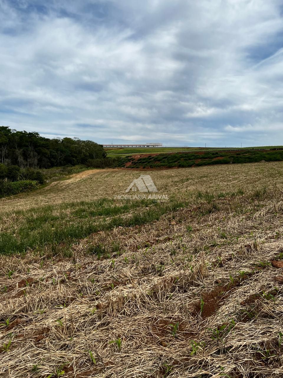 Chácara, 2 hectares - Foto 10