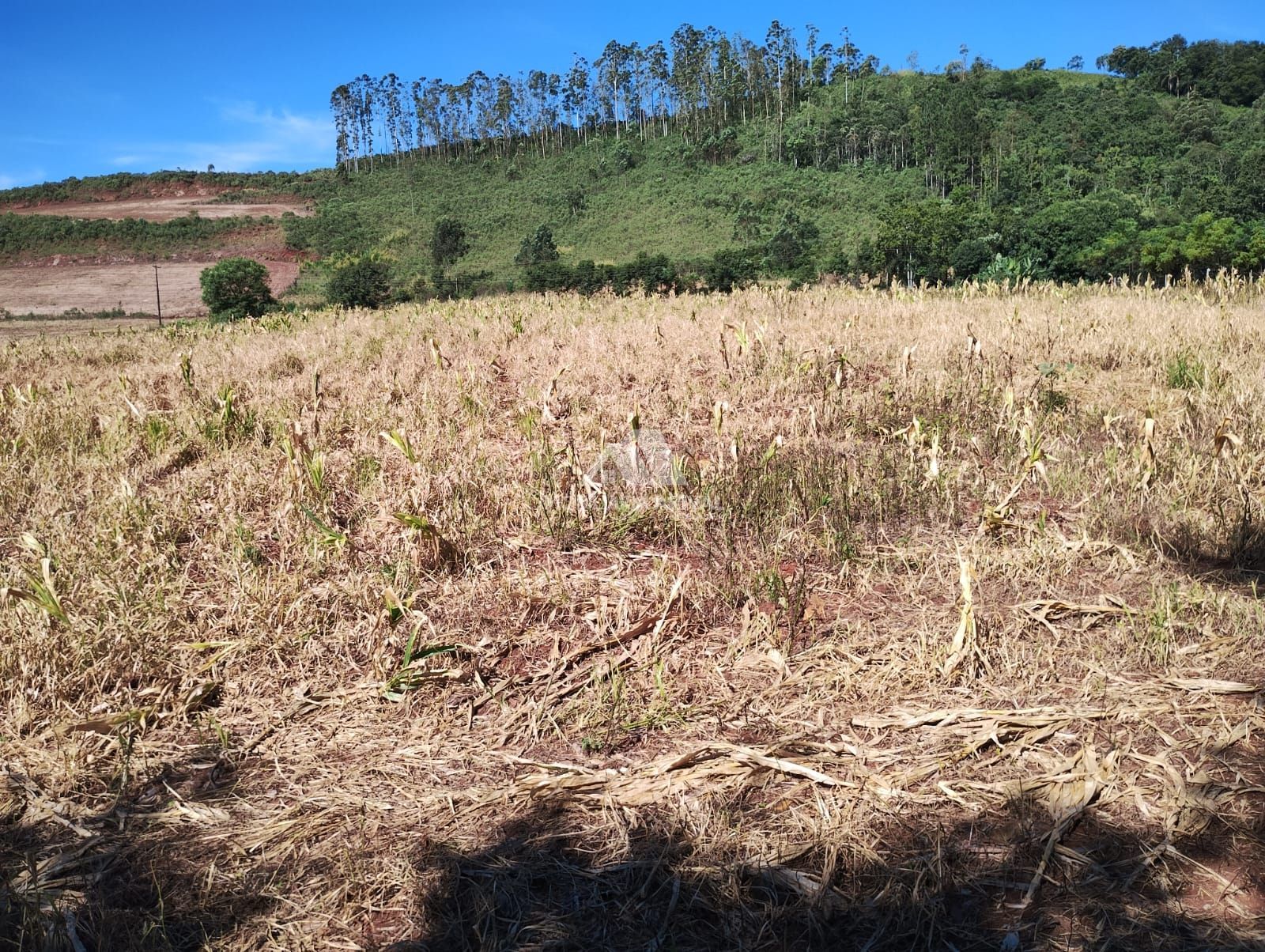 Lote/Terreno Comercial de 95000m² no bairro Zona Rural, em Seara | Eu Corretor