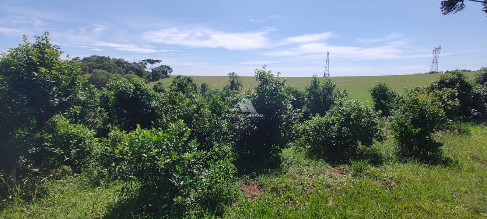 Lote/Terreno Comercial de 90000m² no bairro Zona Rural, em Xanxerê | Eu Corretor