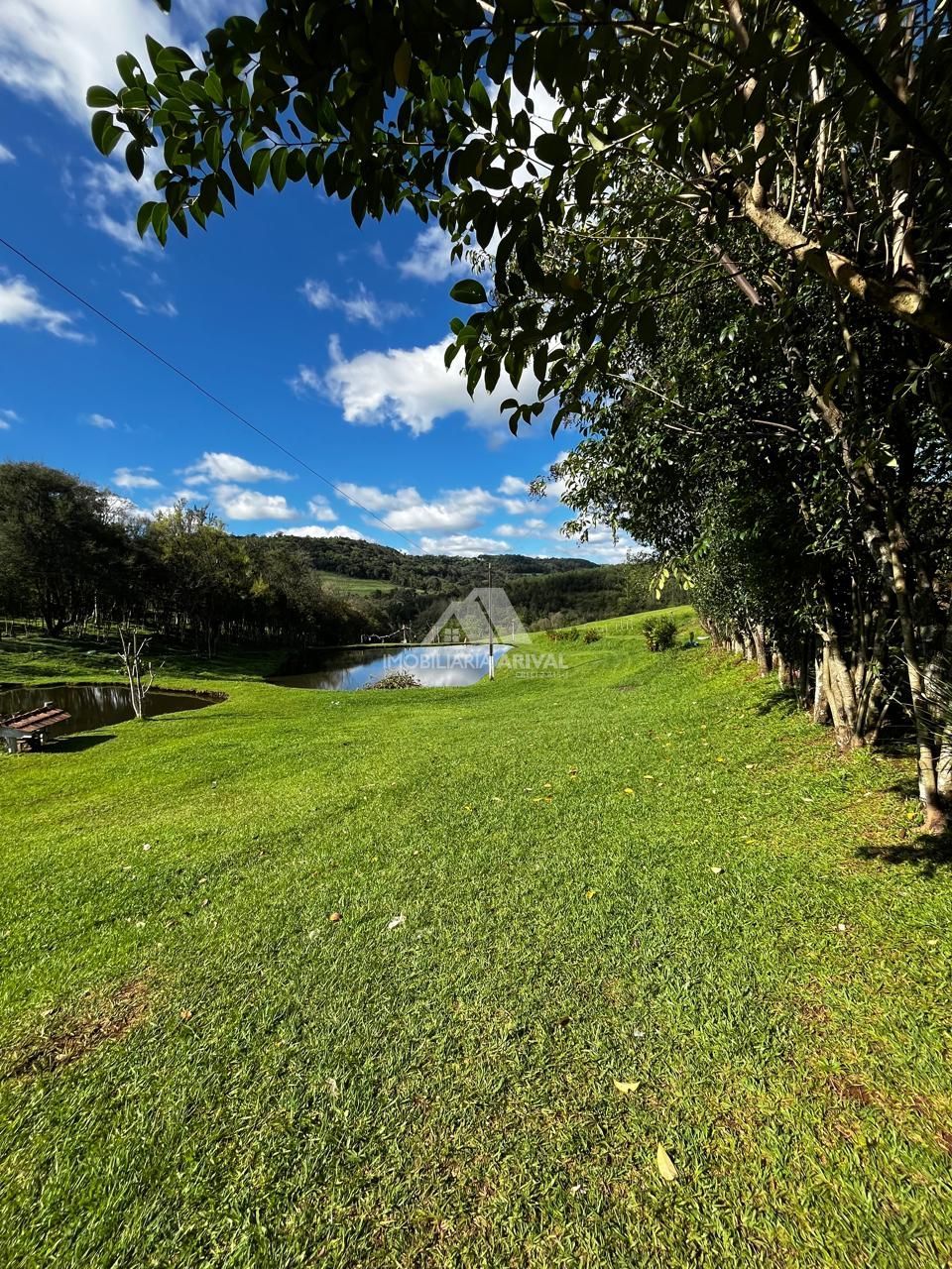 Chácara, 7 hectares - Foto 12