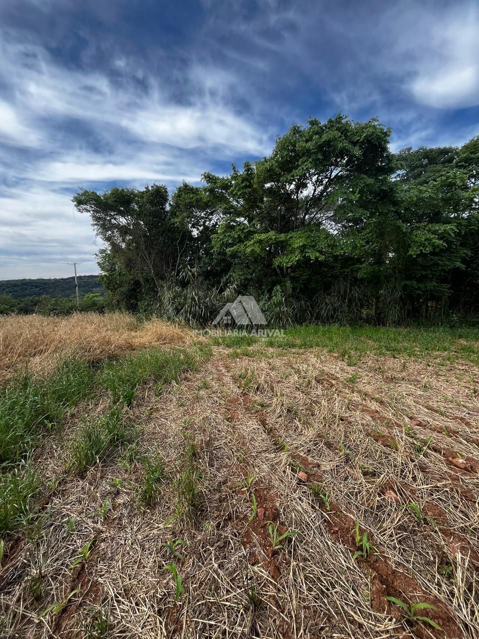 Chácara, 2 hectares - Foto 6
