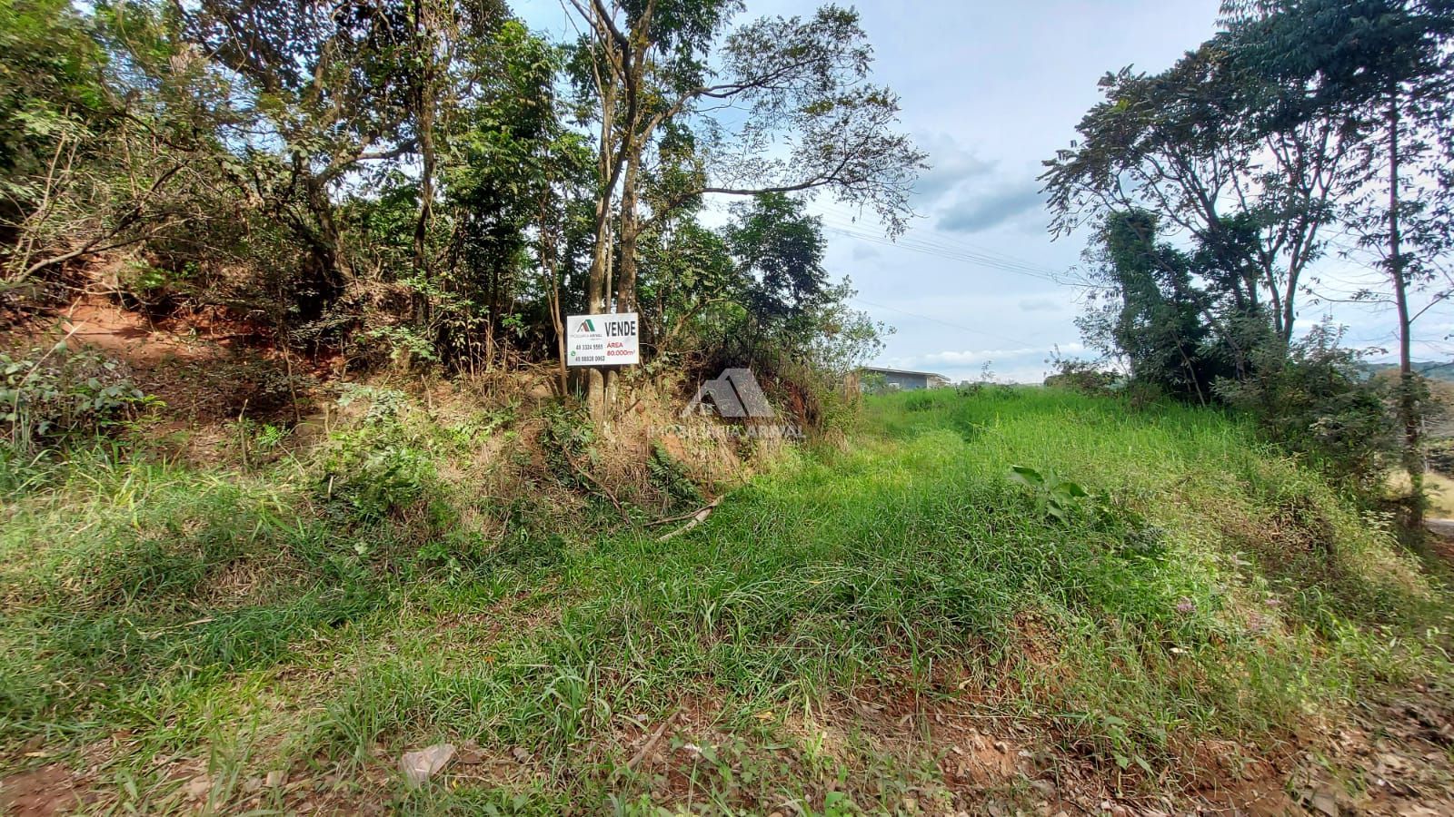Lote/Terreno Comercial de 80000m² no bairro Parque das Palmeiras, em Chapecó | Eu Corretor