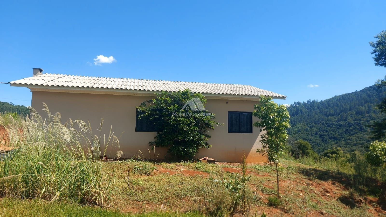 Chácara, 2 hectares - Foto 2