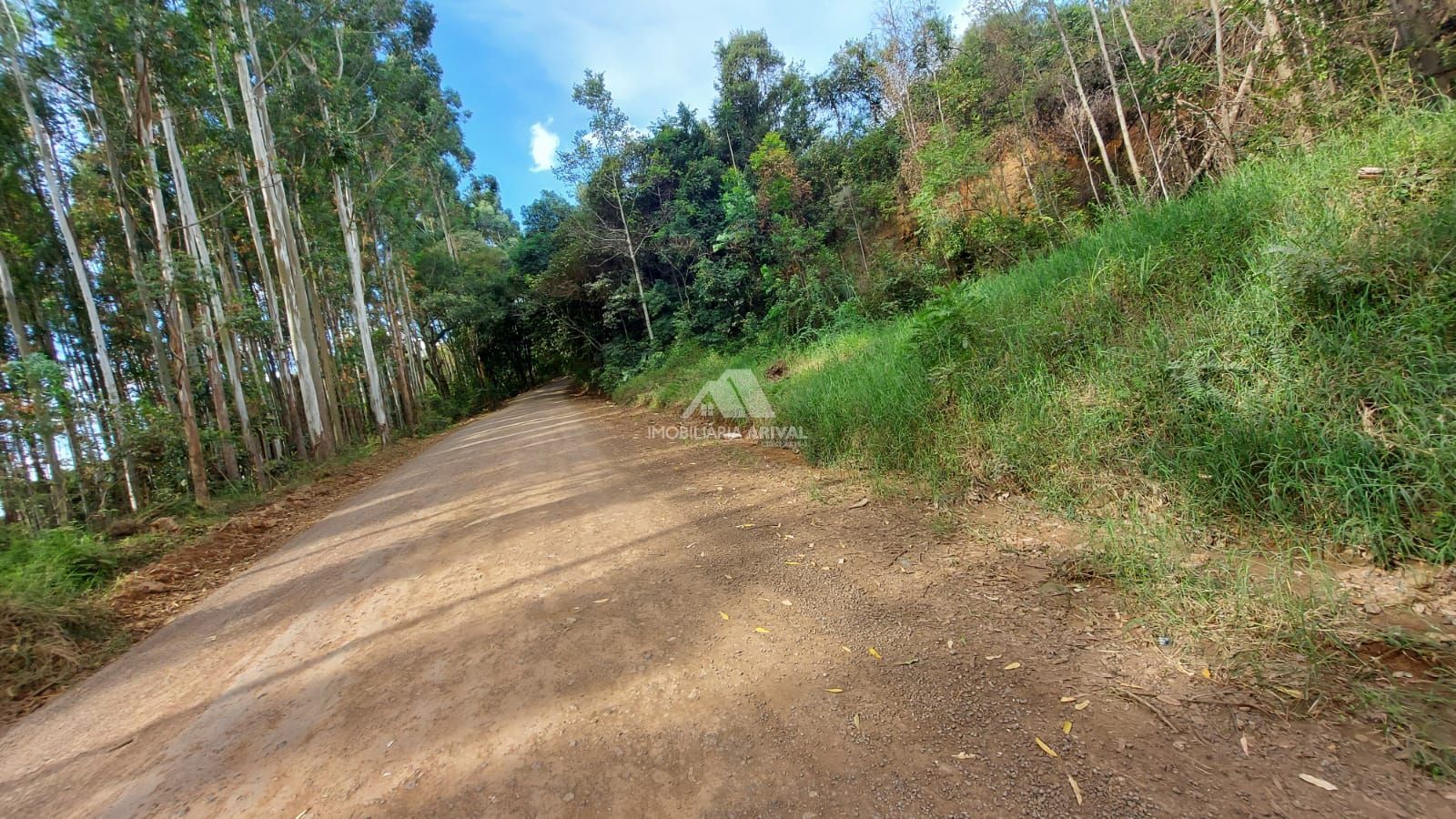 Lote/Terreno Comercial de 80000m² no bairro Parque das Palmeiras, em Chapecó | Eu Corretor