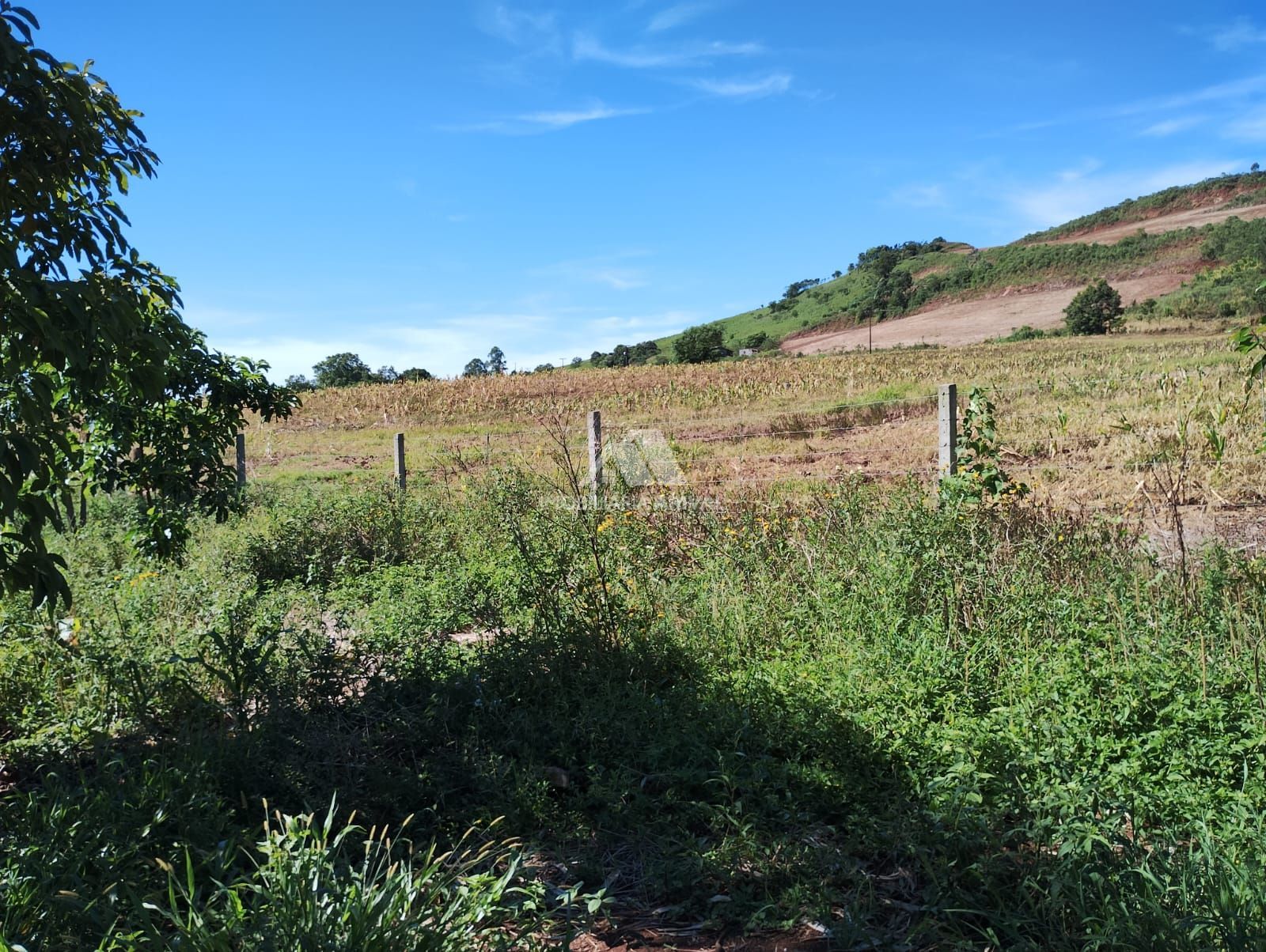 Lote/Terreno Comercial de 95000m² no bairro Zona Rural, em Seara | Eu Corretor