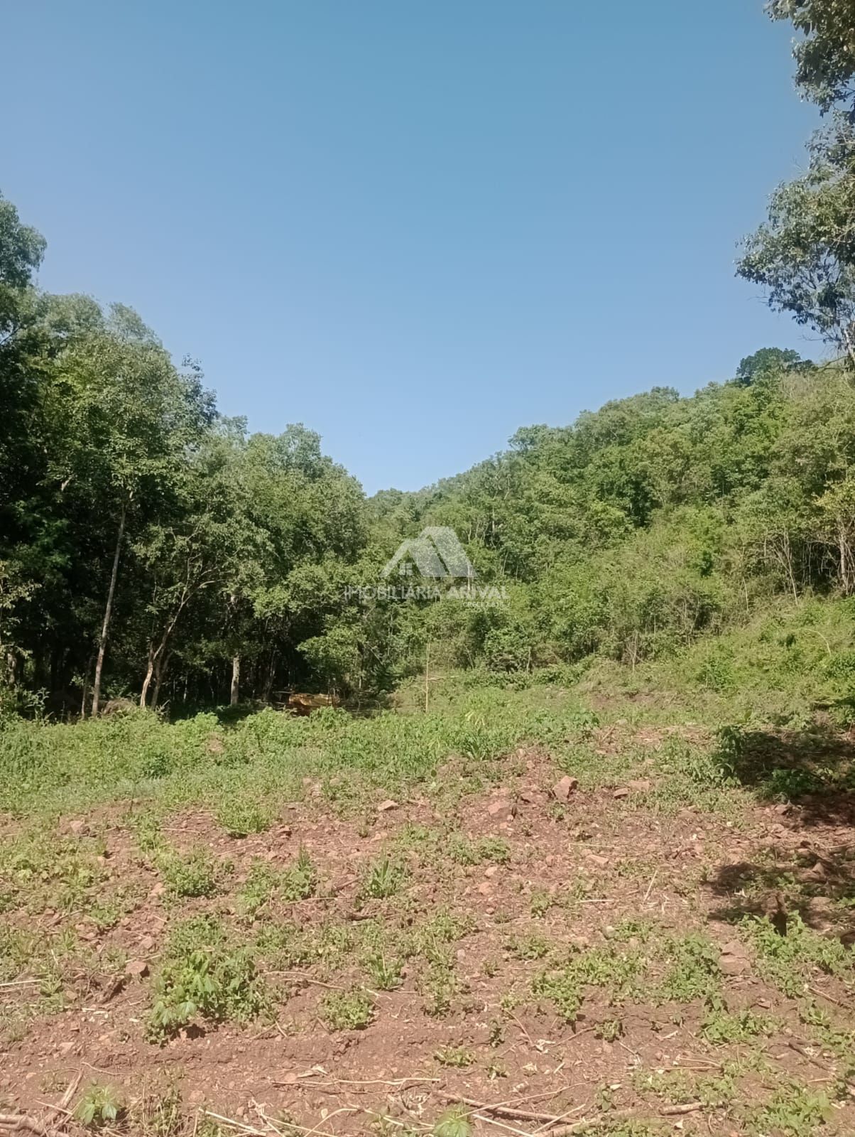 Lote/Terreno Comercial de 20000m² no bairro Área Rural de Chapecó, em Chapecó | Eu Corretor