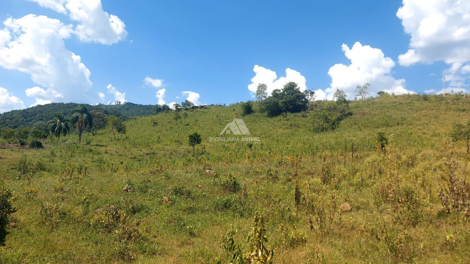 Chácara, 2 hectares - Foto 4