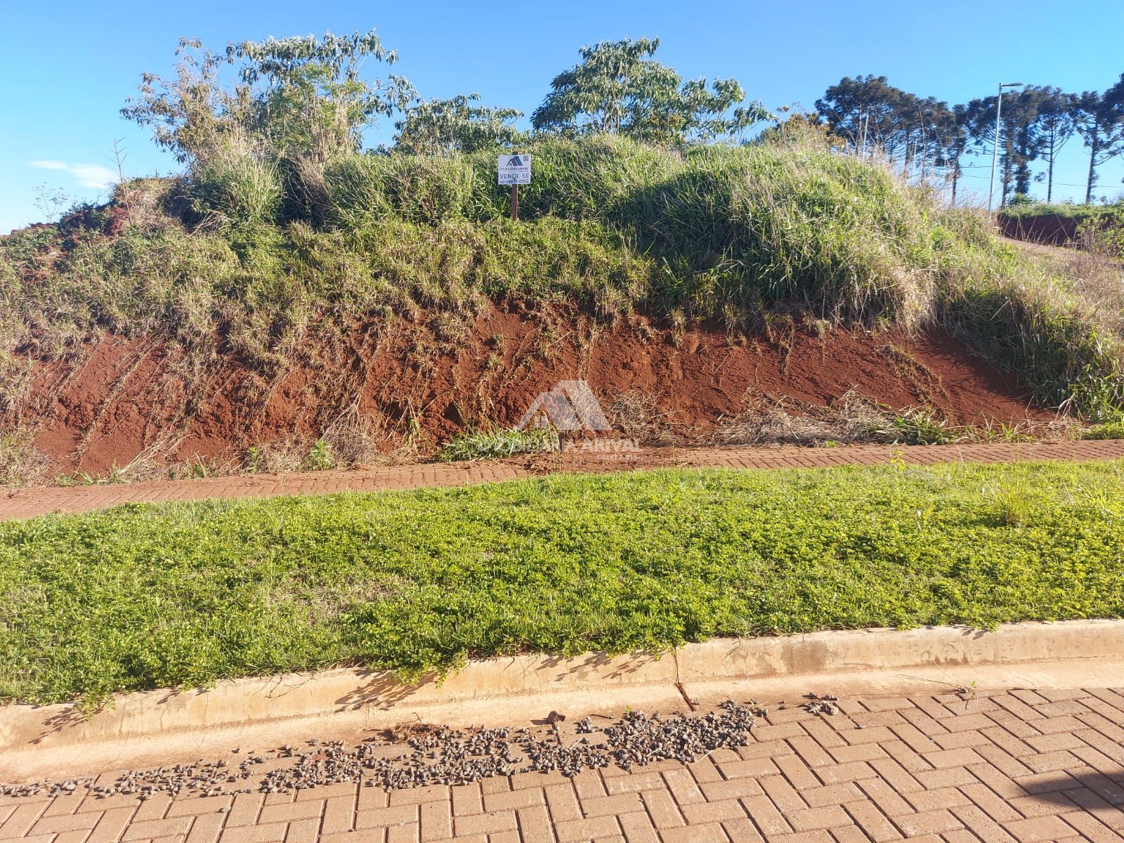 Terreno, 751 m² - Foto 6
