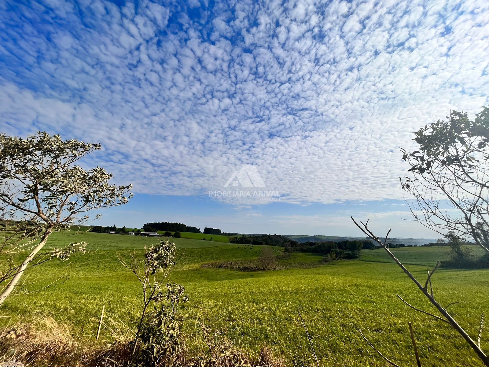 Lote/Terreno Comercial de 720000m² no bairro Zona Rural, em Faxinalzinho | Eu Corretor