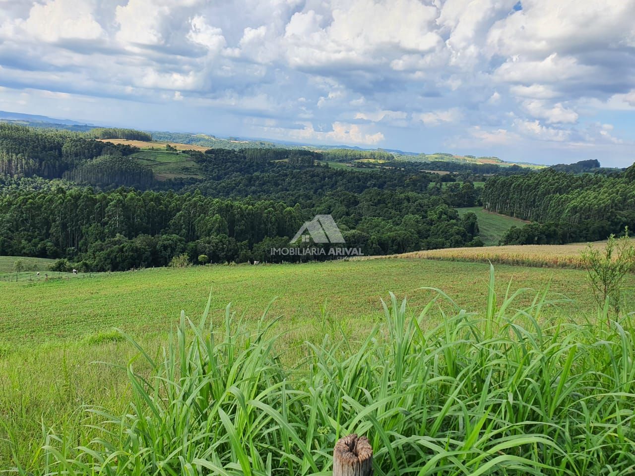 Lote/Terreno Comercial de 142400m² no bairro Área Rural de Chapecó, em Chapecó | Eu Corretor