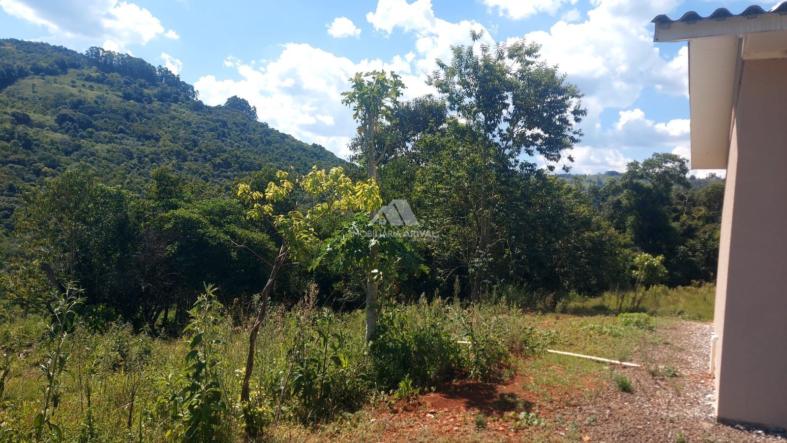 Chácara, 2 hectares - Foto 6