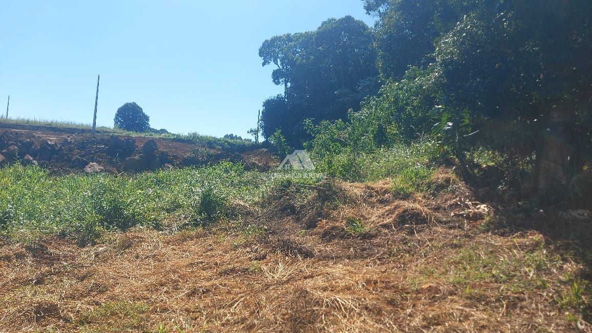 Chácara, 2 hectares - Foto 9