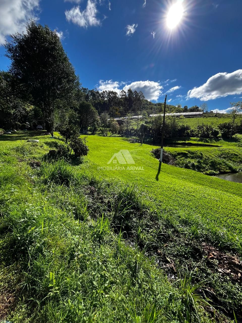 Chácara, 7 hectares - Foto 18