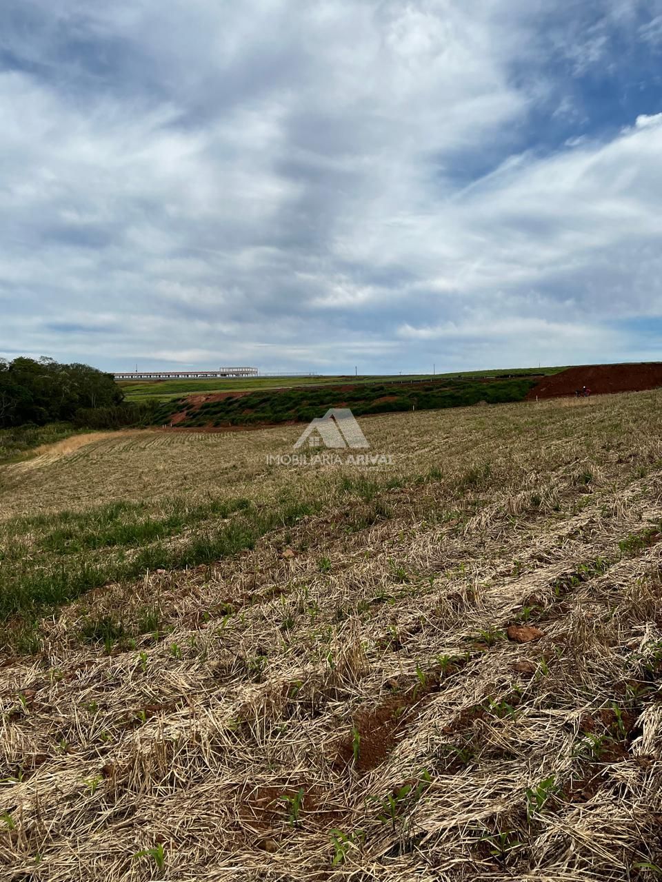 Chácara, 2 hectares - Foto 7