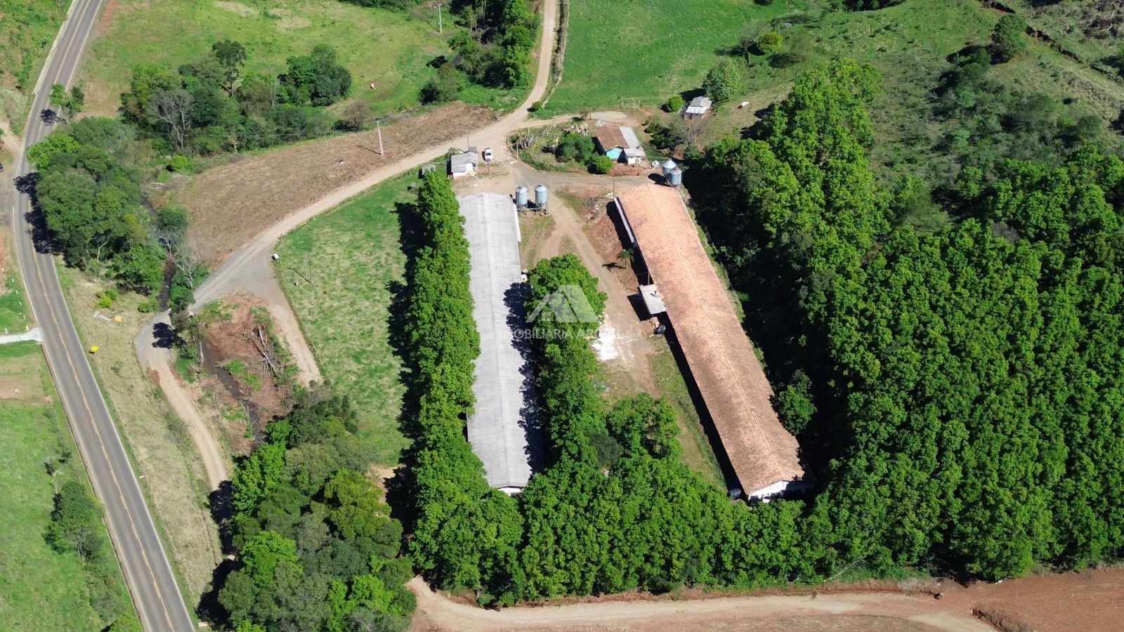 Chácara, 3 hectares - Foto 3