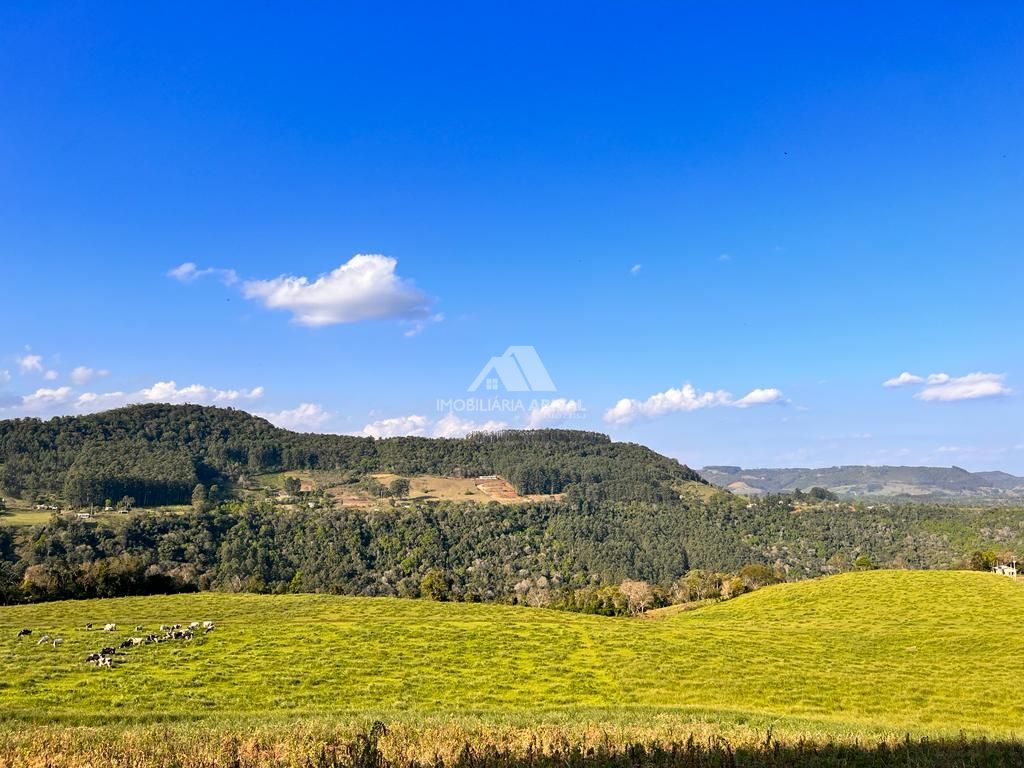 Lote/Terreno Comercial de 91000m² no bairro Zona Rural, em Chapecó | Eu Corretor