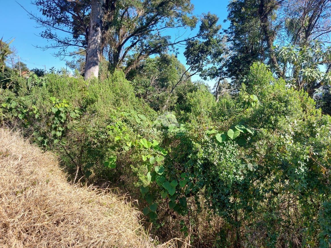 Lote/Terreno de 273m² no bairro Centro, em Cordilheira Alta | Eu Corretor