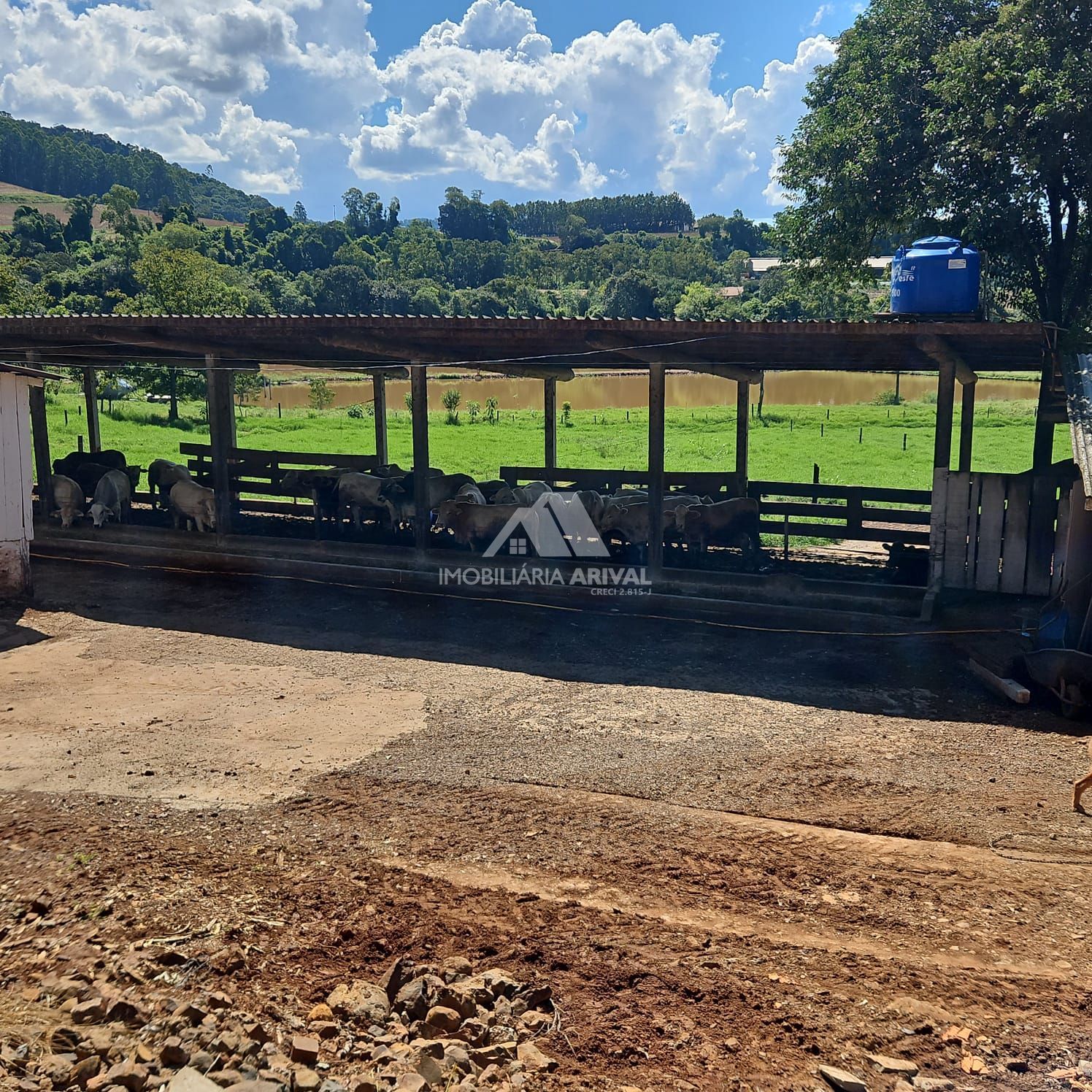img327755001